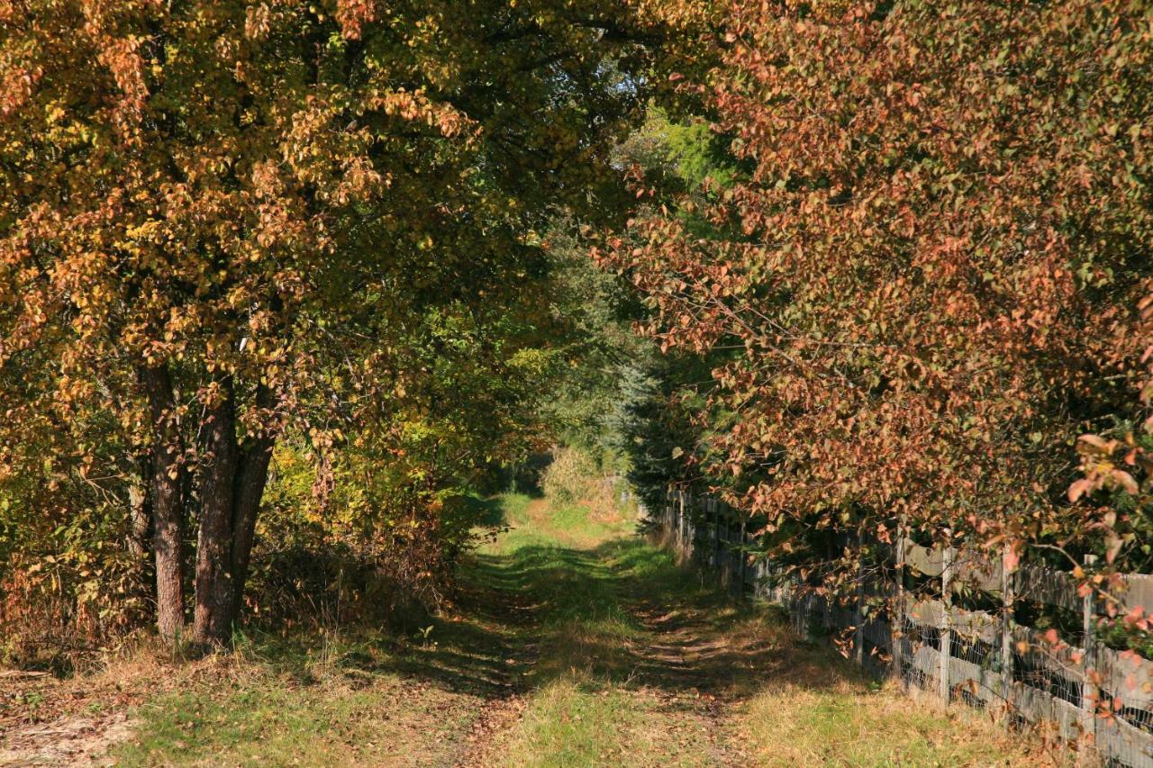 Uroczysko Teremiski Ferienhaus Białowieża